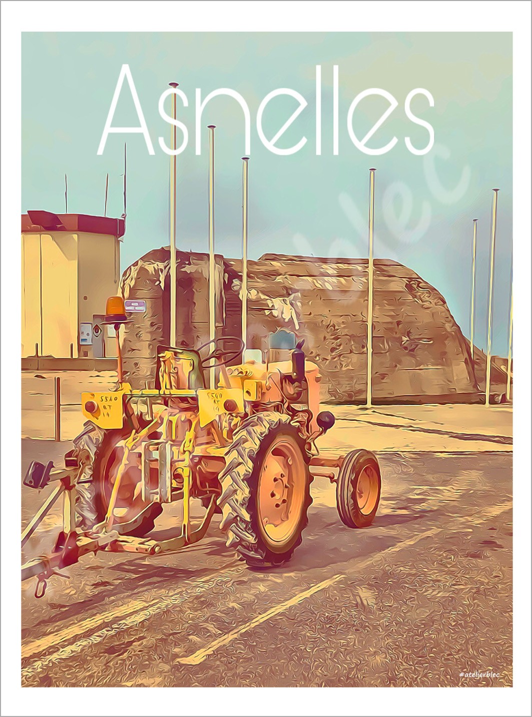 Affiche asnelles 8