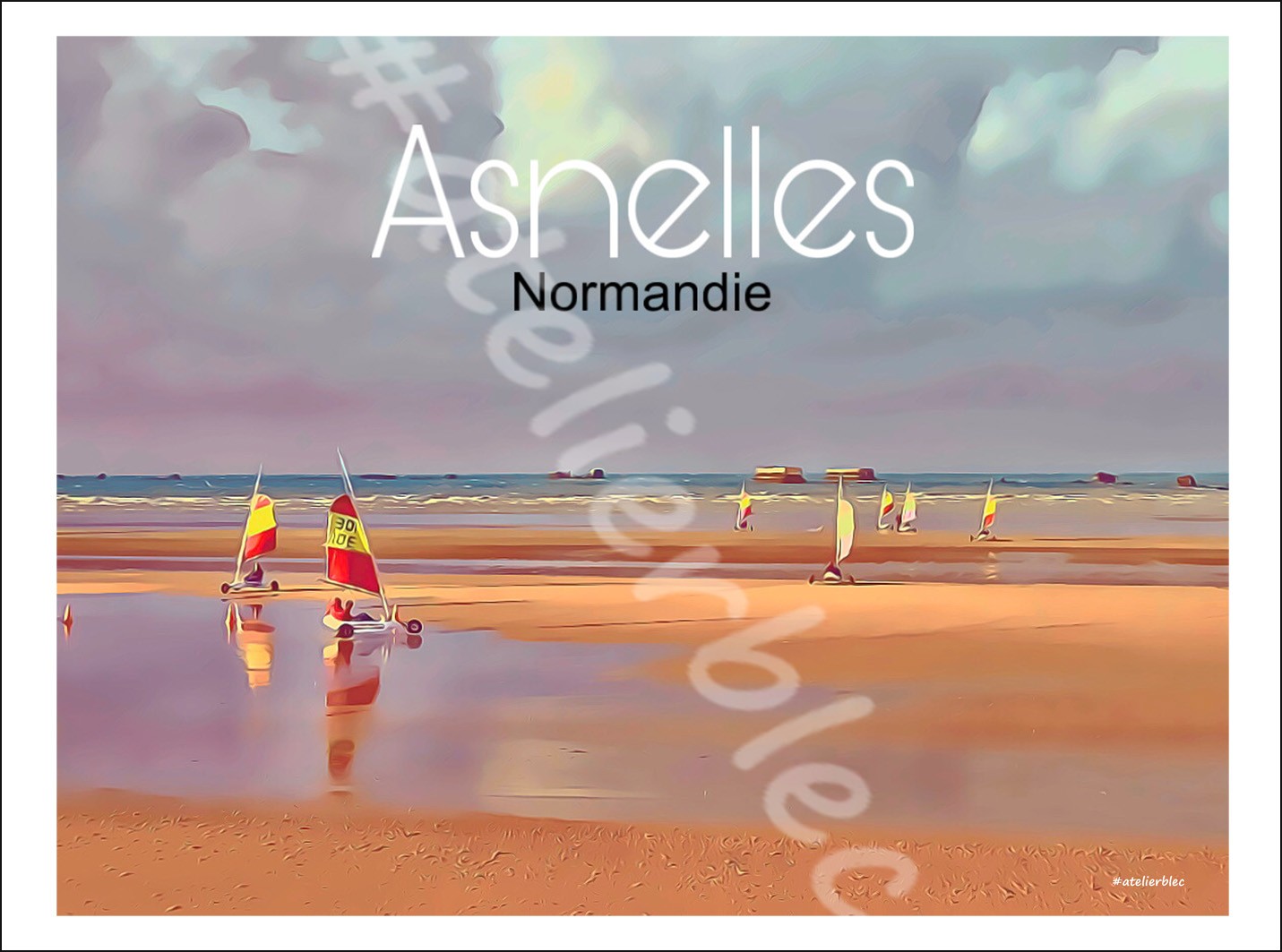 Affiche asnelles8