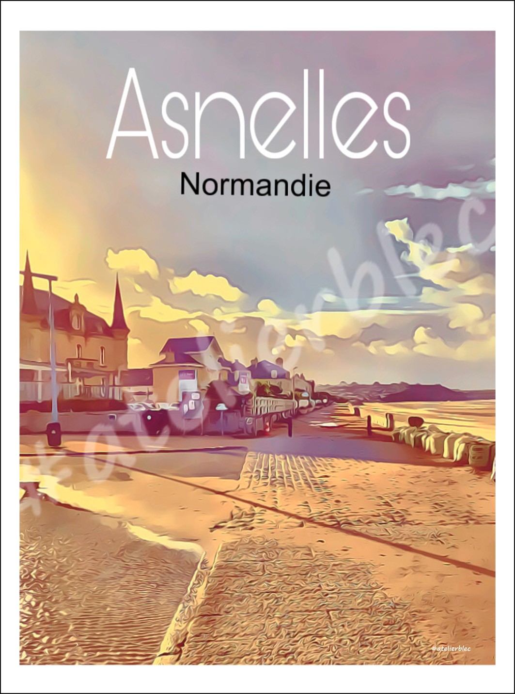 Affiche asnelles9