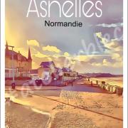 Affiche asnelles9