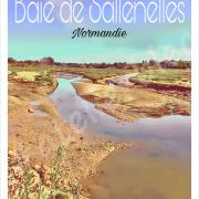 Affiche baie de sallenelles 4