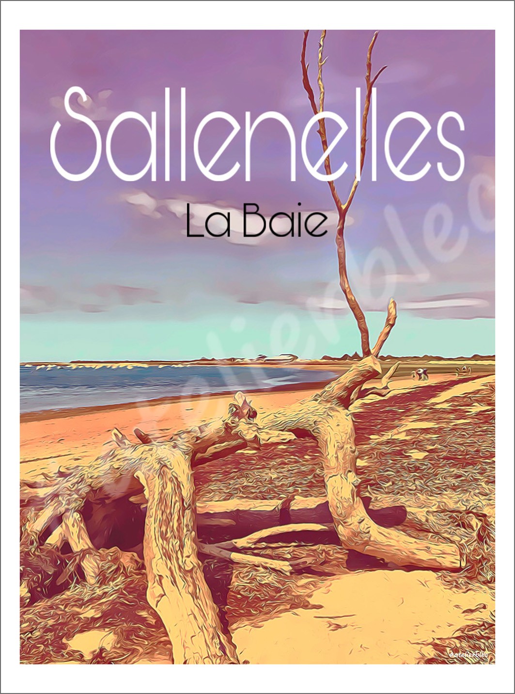 Affiche baie de sallenelles 7