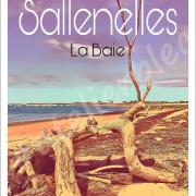 Affiche baie de sallenelles 7