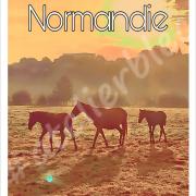 Affiche normandie18