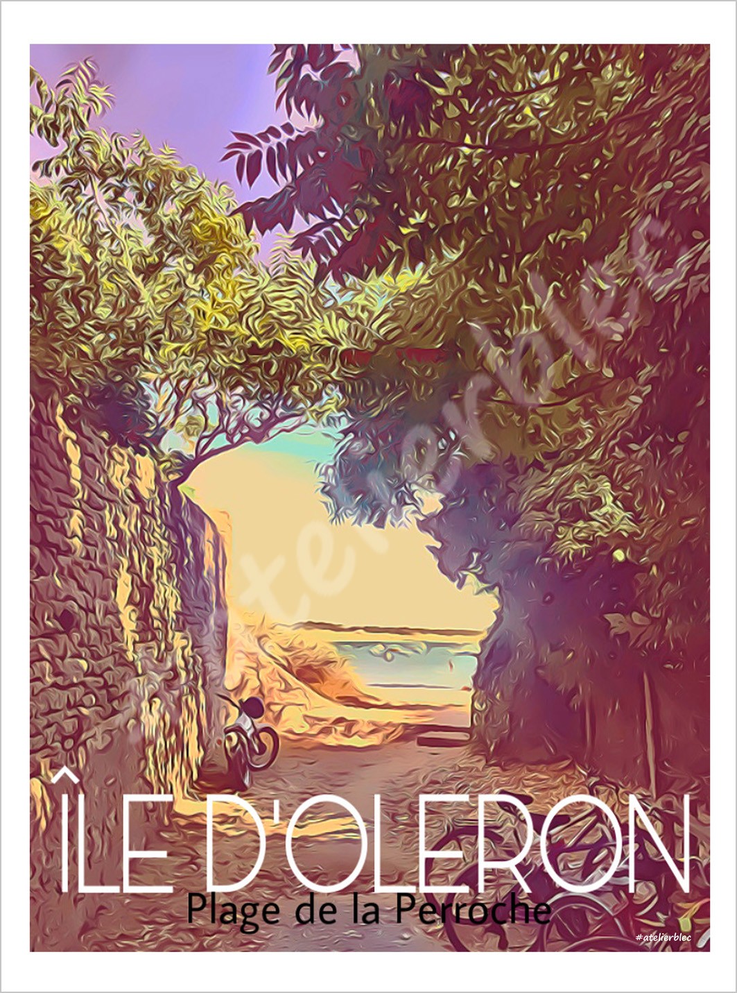 Affiche oleron1 perroche