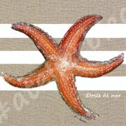 Corail2m