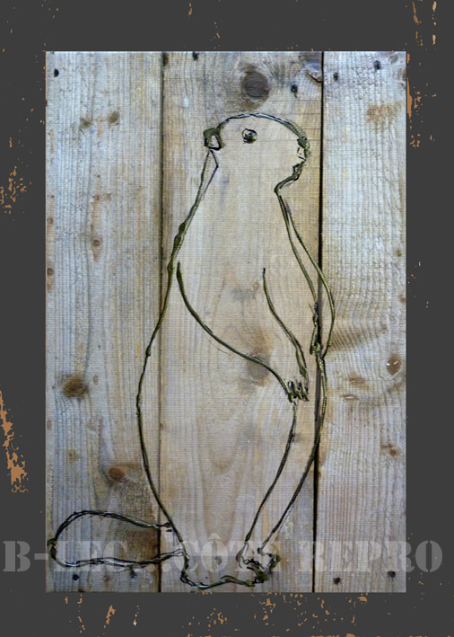 marmotte 01