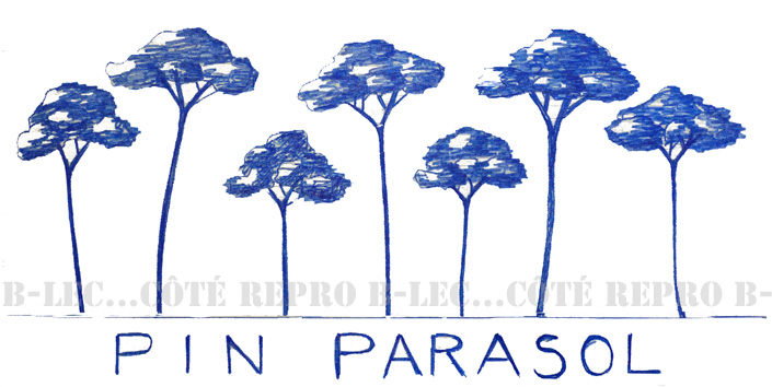 PP02 Pin parasol