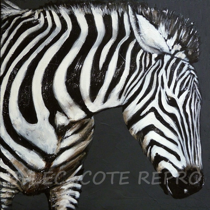 ZEBRE01