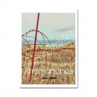 Affiche arromanches 13