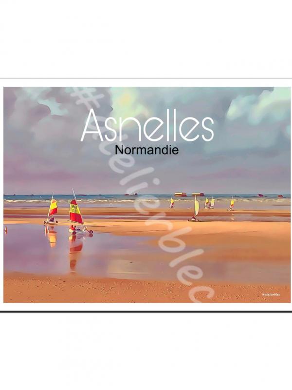 Affiche asnelles 15