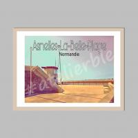 Affiche asnelles 3