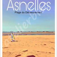 Affiche asnelles1 1