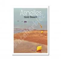 Affiche asnelles5 1