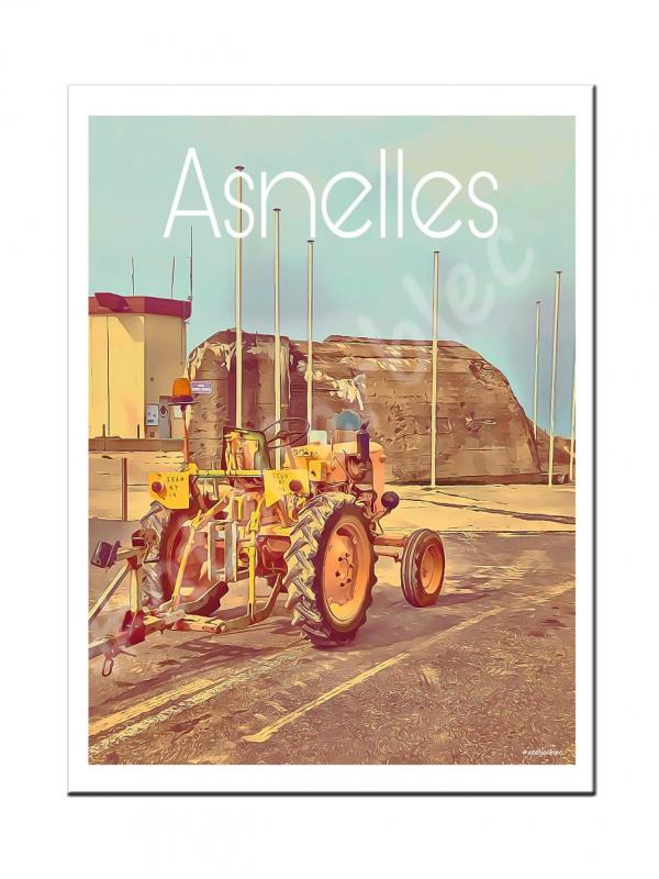 Affiche asnelles6