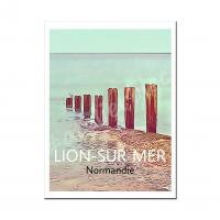 Affiche lion5 1