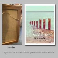Affiche lion5 toile