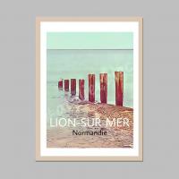 Affiche lion5
