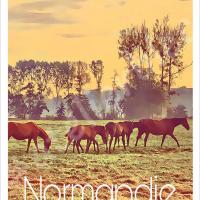Affiche normandie 19