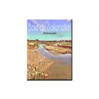 Baie de sallenelles4
