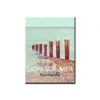 Lion5
