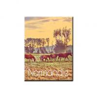 Normandie19