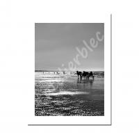 Photo1