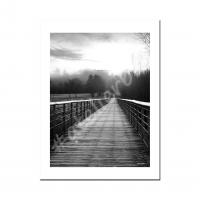 Photo10