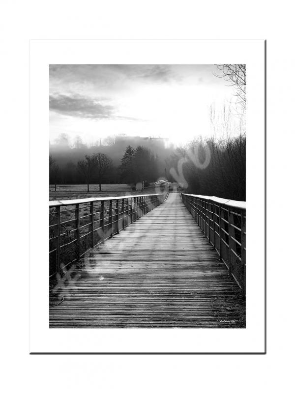 Photo10