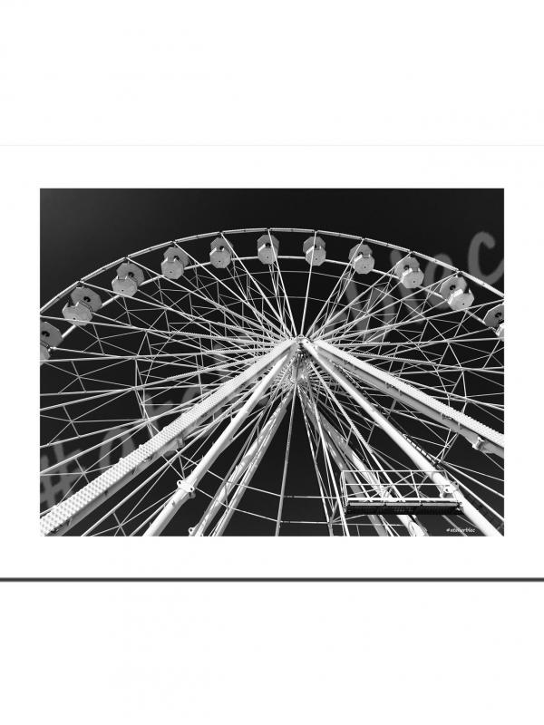 Photo5