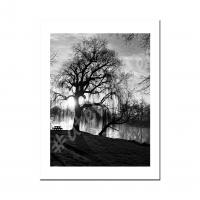 Photo9