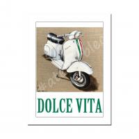 Scoot01 1
